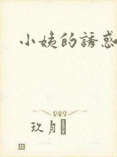 小姨的诱惑小说封面