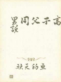 男同父子高h小说