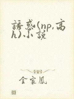 诱惑(np,高h)小说
