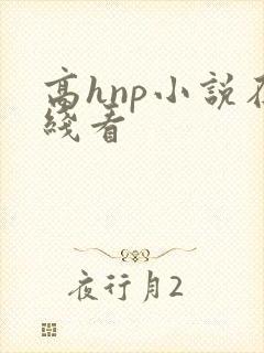 高hnp小说在线看