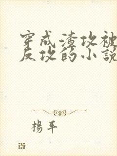 穿成渣攻被老婆反攻的小说