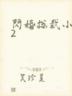 闪婚总裁小娇妻2