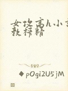 女攻高h小说调教榨精封面