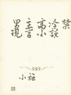 男主高冷禁欲的现言小说