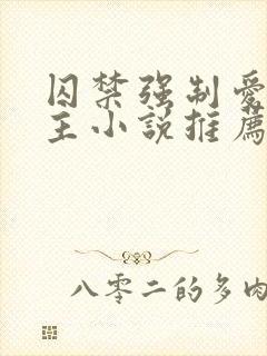 囚禁强制爱双男主小说推荐封面