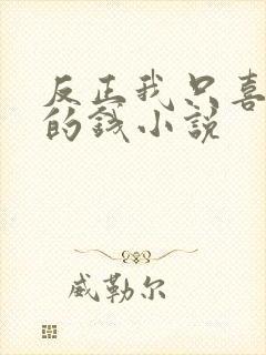 反正我只喜欢你的钱小说