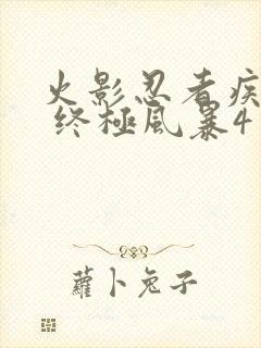 火影忍者疾风传 终极风暴4 博人传