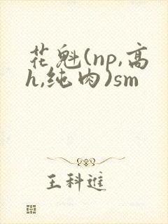 花魁(np,高h,纯肉)sm