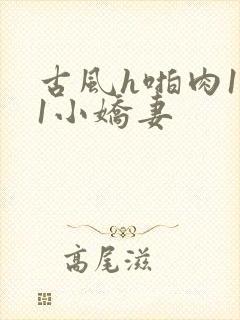 古风h啪肉1v1小娇妻