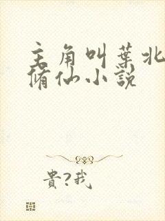 主角叫叶北辰的修仙小说