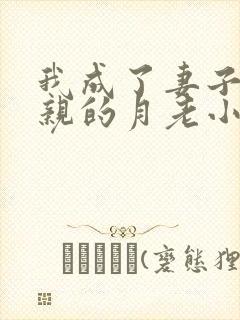 我成了妻子和父亲的月老小说