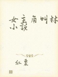 女主角叫林茉的小说封面