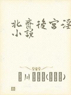北齐后宫淫h文小说封面