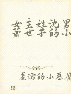 女主姓沈男主姓萧世子的小说