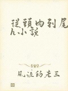 从头肉到尾的高h小说