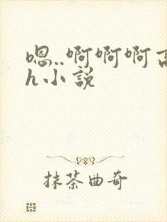 嗯..啊啊啊高h小说