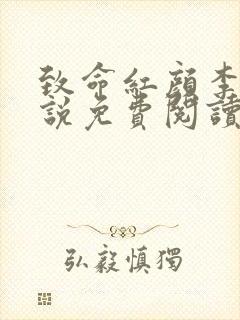 致命红颜李泽小说免费阅读全文封面