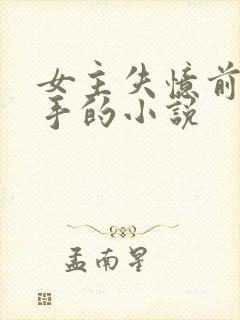 女主失忆前是杀手的小说