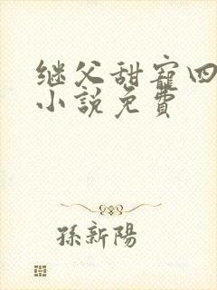 继父甜宠四重奏小说免费