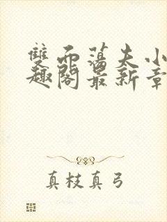 双面荡夫小说笔趣阁最新章节免费阅封面