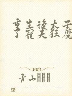 重生后太子妃成了宠夫狂魔封面