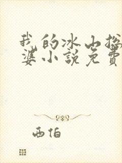 我的冰山总裁老婆小说免费