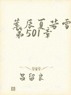 叶辰夏若雪孙怡 第501章