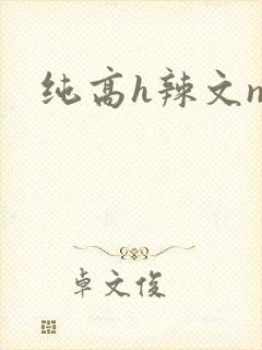 纯高h辣文np