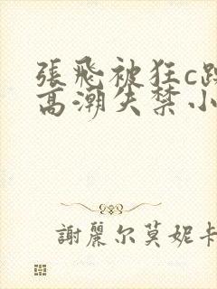 张飞被狂c躁到高潮失禁小说