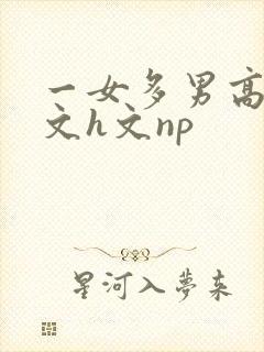 一女多男高辣h文h文np