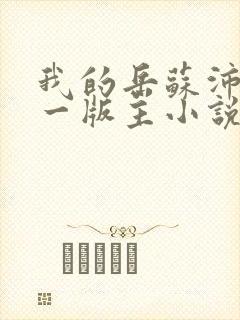 我的岳苏沛真第一版主小说网