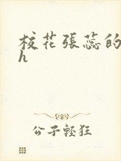 校花张蕊的调教h