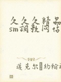 久久久精品国产sm调教网站