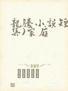 龙腾小说短篇合集)家庭