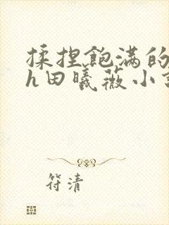 揉捏饱满的双乳h田曦薇小说