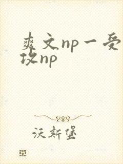 爽文np一受多攻np