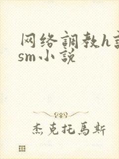 网络调教h认主sm小说