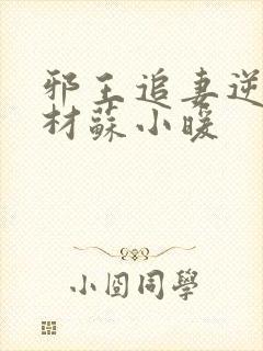 邪王追妻逆天废材苏小暖