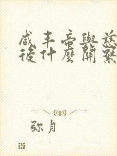 咸丰帝与慈禧太后什么关系啊