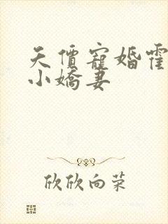 夭价宠婚霍总的小娇妻