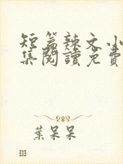 短篇辣文小说全集阅读免费封面