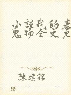 小说我的老公是鬼物全文免费阅读