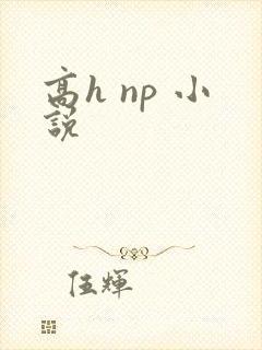 高h np 小说