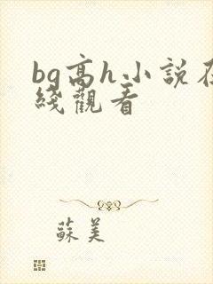 bg高h小说在线观看