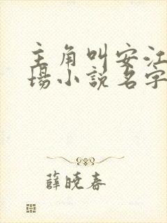 主角叫安江的官场小说名字