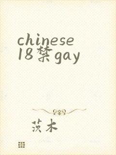 chinese18禁gay