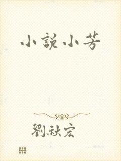 小说小芳