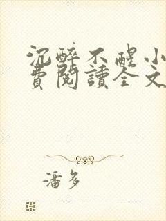 沉醉不醒小说免费阅读全文无弹窗