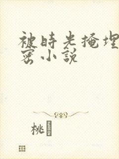 被时光掩埋的秘密小说