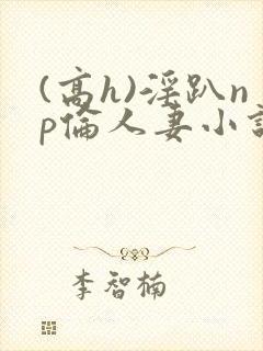 (高h)淫趴np伦人妻小说封面